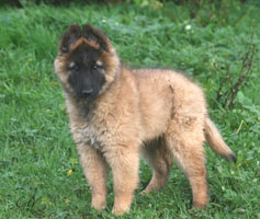 22 NOV 09